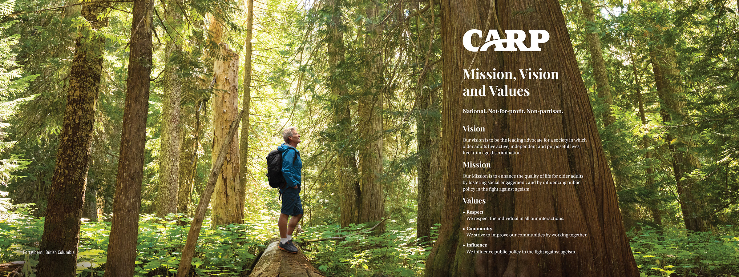 40th anniversary book pitch - mission, vision, values - spread